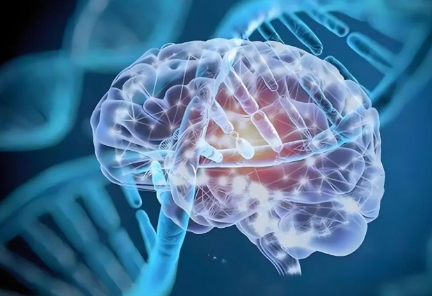 脑病专栏！武汉市治癫痫病效果好的医院-睡眠性癫痫发作的时候有征兆吗？