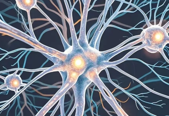 热搜榜单！武汉治成年癫痫病医院排行榜-如何降低癫痫病的遗传机率？