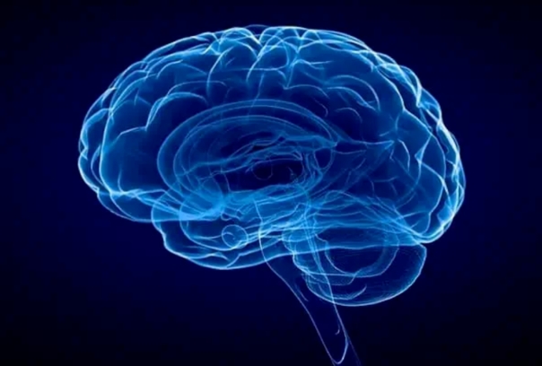 实时更新！黄冈治疗癫痫病医院口碑排行榜-婴幼儿癫痫常见的发作症状有哪些？