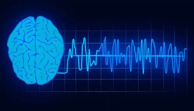 湖北排名靠前的癫痫医院是哪家-癫痫对神经系统有哪些其他影响？