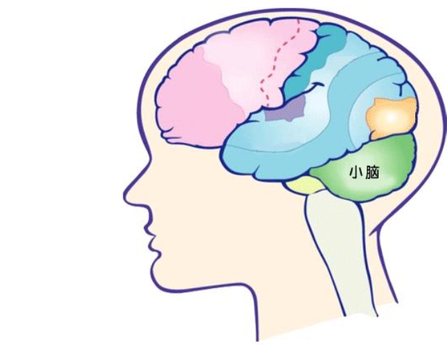 湖南长沙治疗癫疯病十大医院榜单-癫痫会影响免疫系统吗，两者有关联吗？